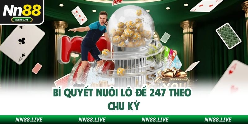 Bí quyết nuôi lô đề 247 theo chu kỳ