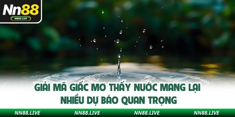 Giải mã giấc mơ thấy nước mang lại nhiều dự báo quan trọng