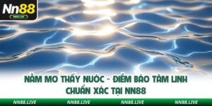 Nằm Mơ Thấy Nước - Điềm Báo Tâm Linh Chuẩn Xác Tại NN88